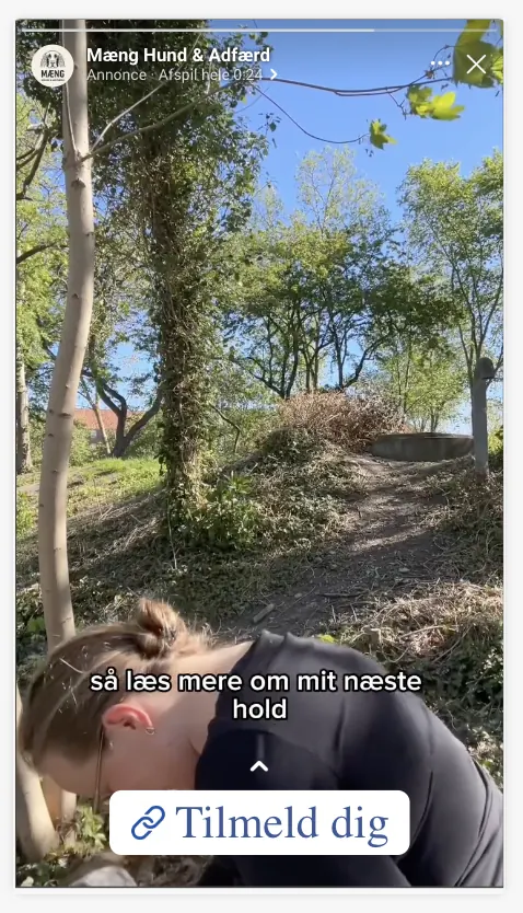 Meta-annonce for Mæng Hund & Adfærd